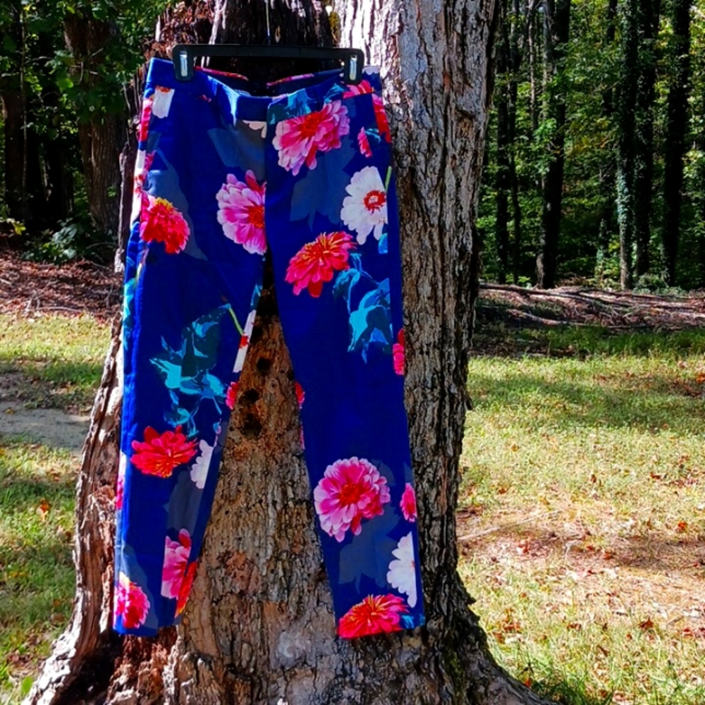 Banana Republic Straight Leg Capri Pants